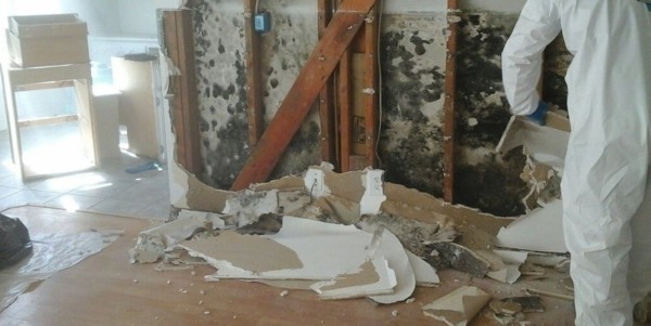 Water Damage Restoration