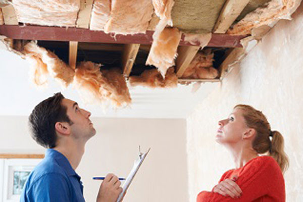 Restoration Inspection Estimate