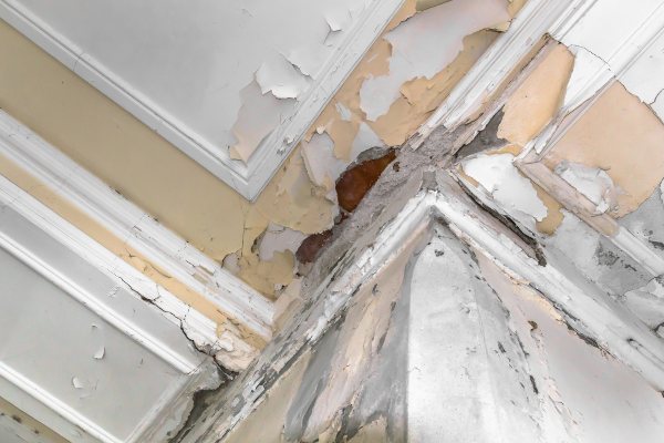 Water Damage Repairs Deltona FL