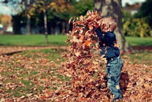 Fall Home Maintenance Checklist