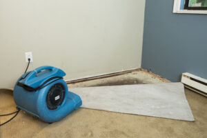 Altamonte Springs Water Damage Restoration Process