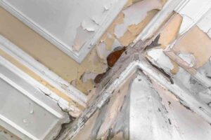 Untreated Water Damage