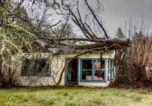 Spring Storm Preparedness Tips