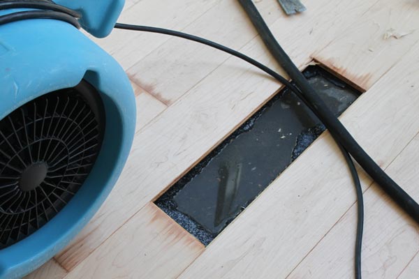 Water Removal Casselberry