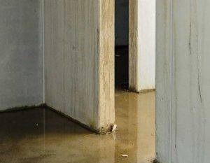How to Handle Flooding in Your Basement