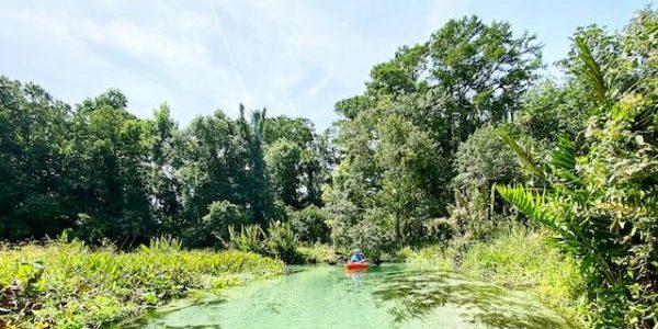 Wekiwa Springs State Park , Apopka FL