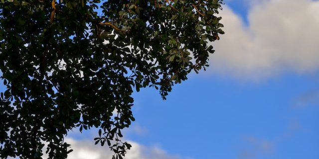 Things to do in Ocoee Fl